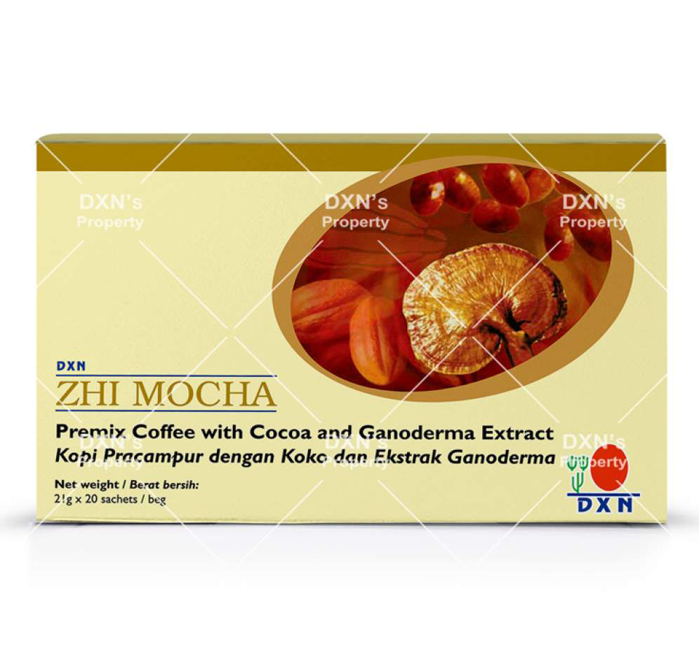ZHI MOCHA 20X21G